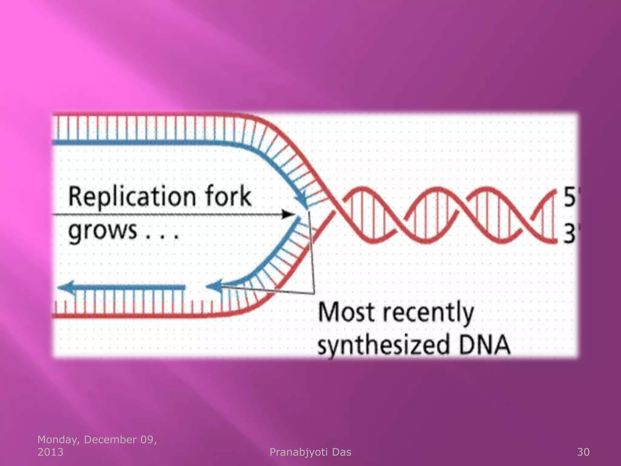 Monday, December 09,
2013

Pranabjyoti Das

30

 