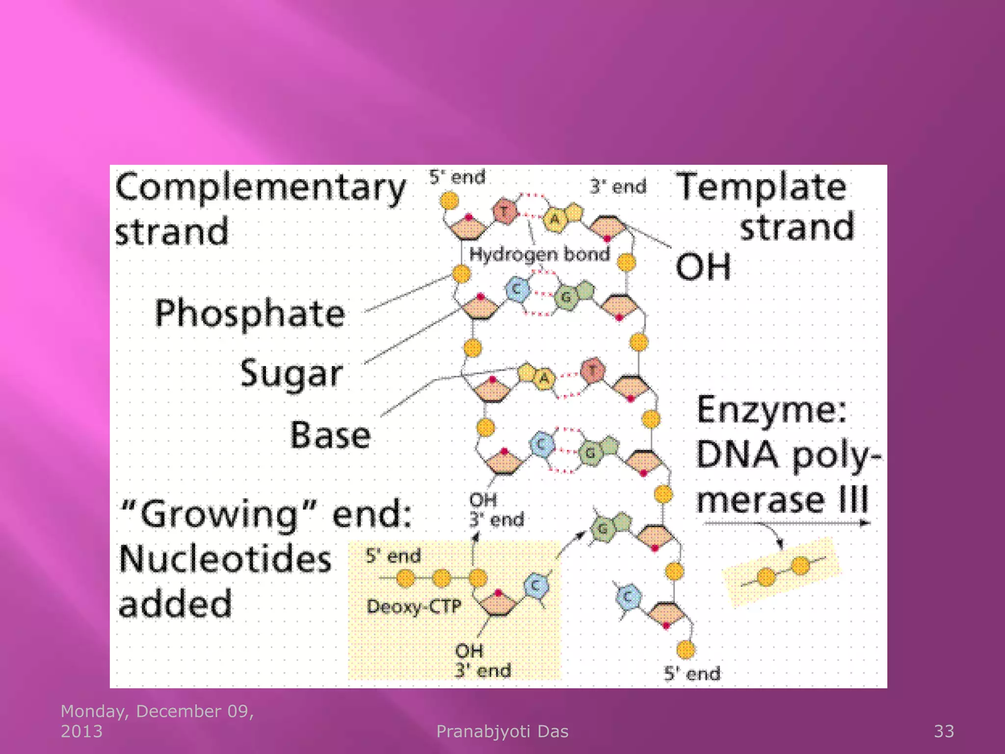 Monday, December 09,
2013

Pranabjyoti Das

33

 