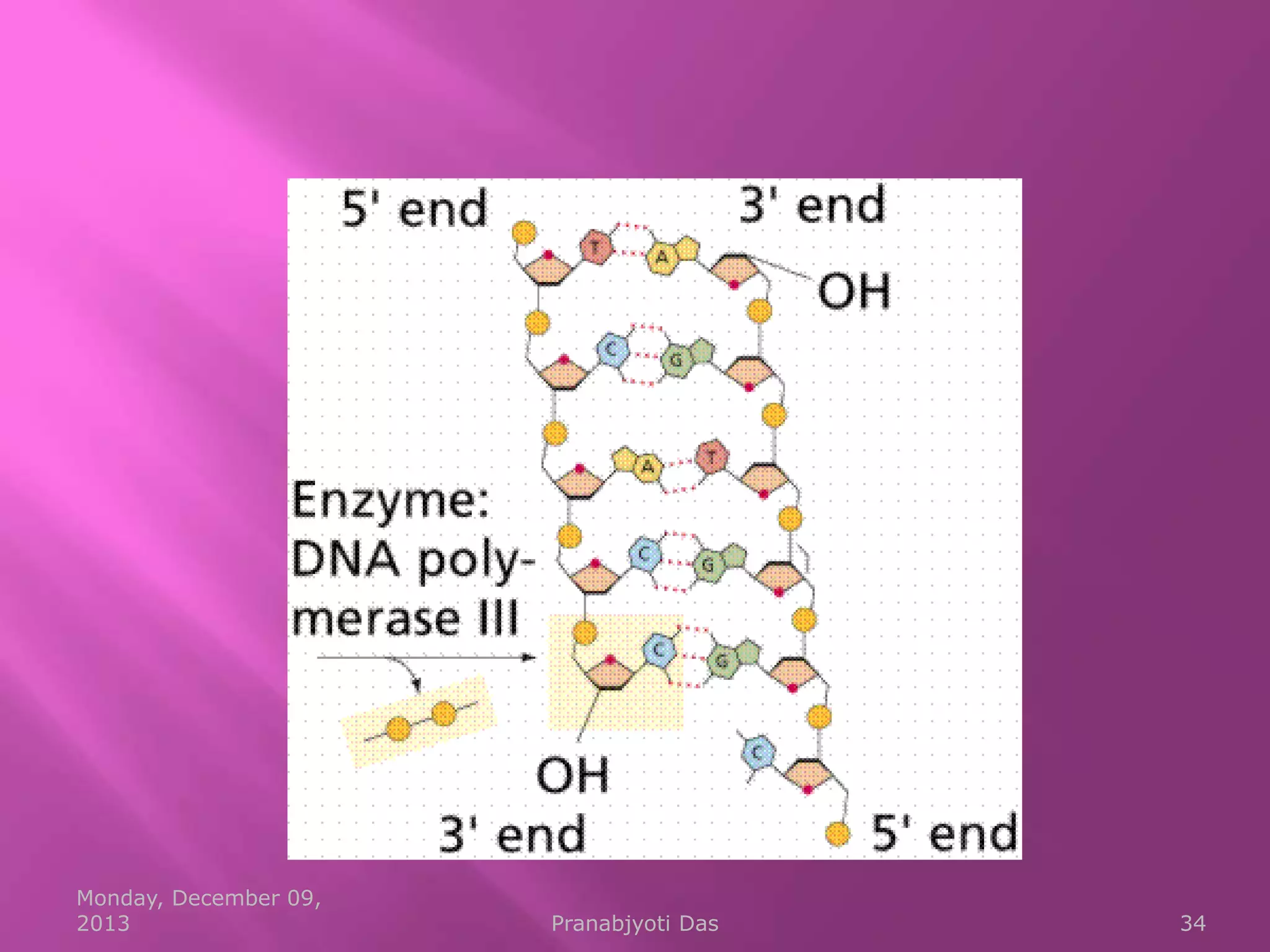 Monday, December 09,
2013

Pranabjyoti Das

34

 