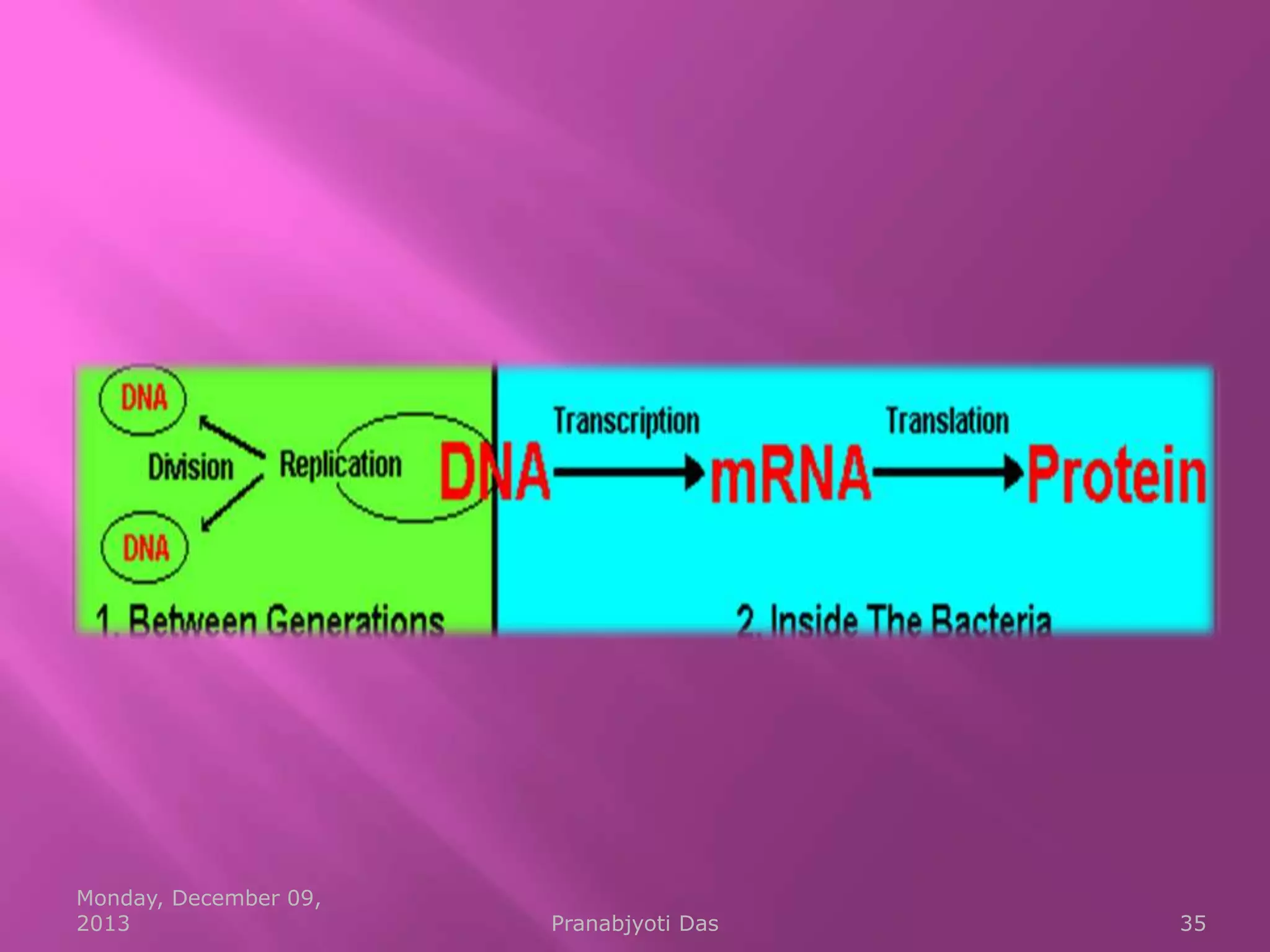 Monday, December 09,
2013

Pranabjyoti Das

35

 