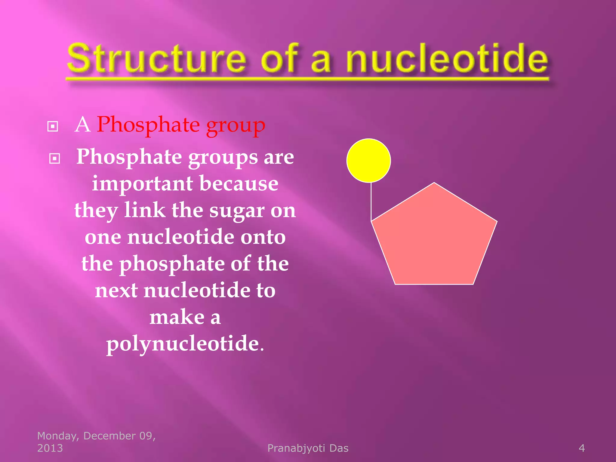 


A Phosphate group
Phosphate groups are
important because
they link the sugar on
one nucleotide onto
the phosphate of the
next nucleotide to
make a
polynucleotide.

Monday, December 09,
2013

Pranabjyoti Das

4

 