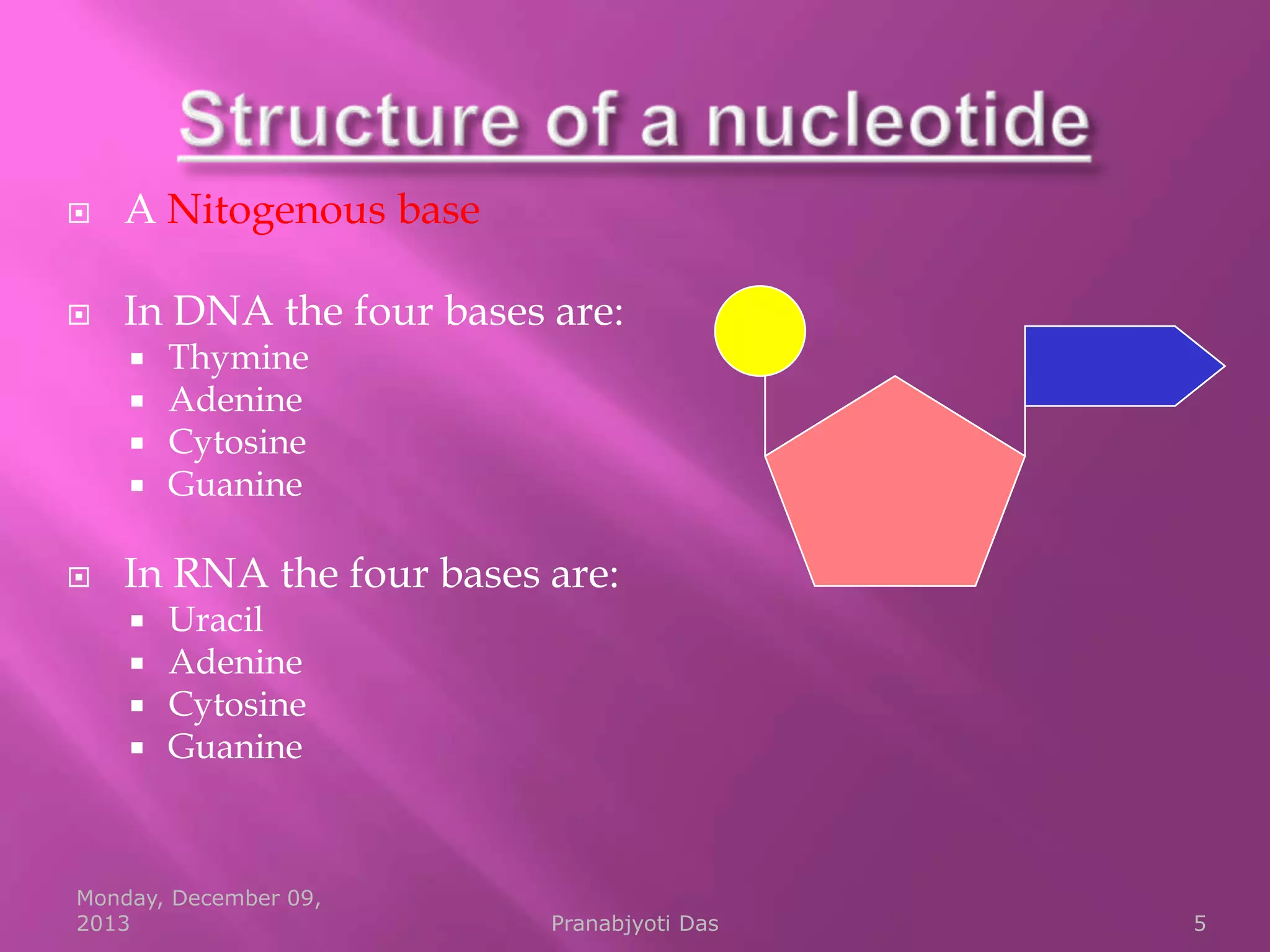 

A Nitogenous base



In DNA the four bases are:







Thymine
Adenine
Cytosine
Guanine

In RNA the four bases are:






Uracil
Adenine
Cytosine
Guanine

Monday, December 09,
2013

Pranabjyoti Das

5

 