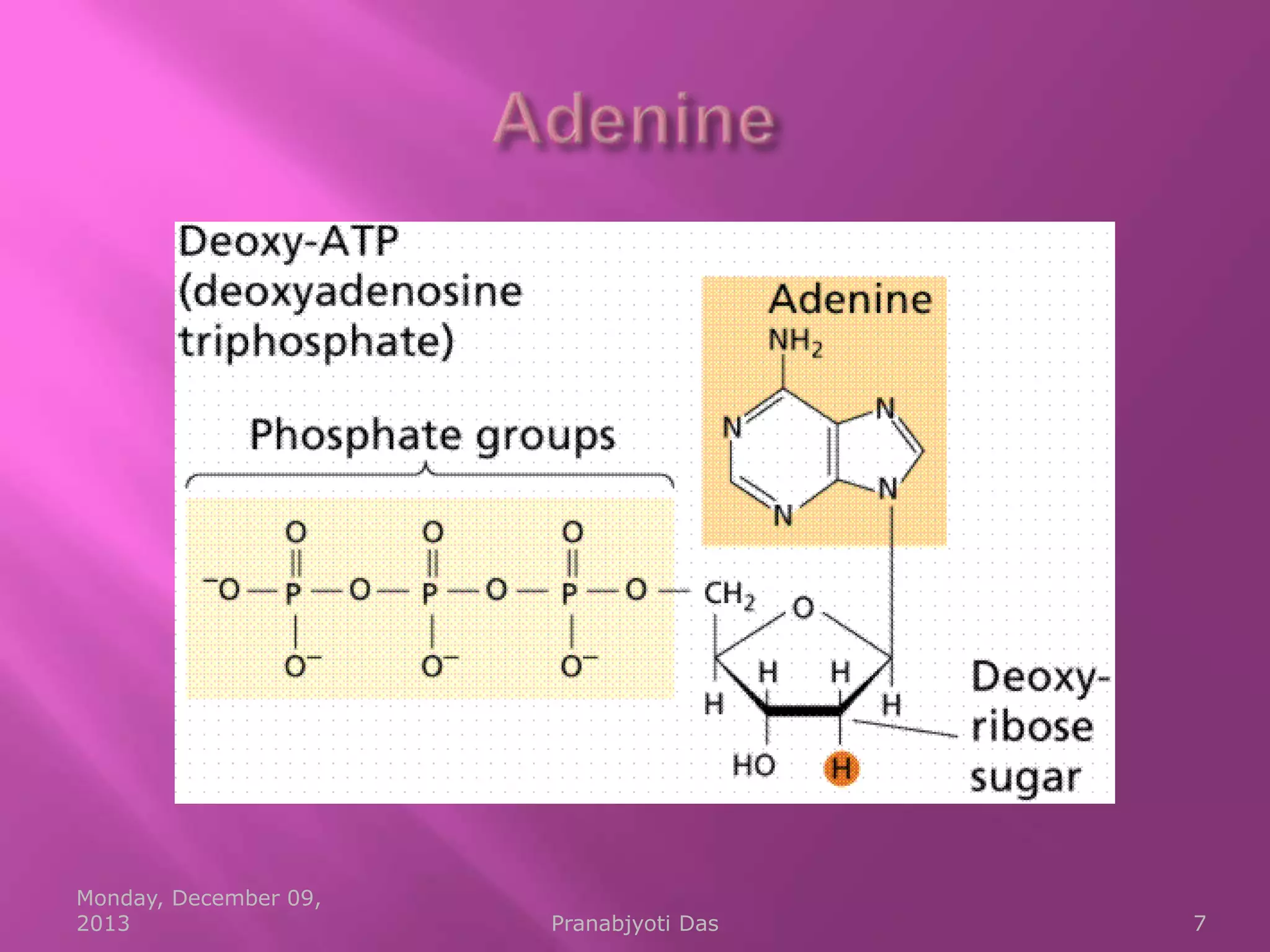 Monday, December 09,
2013

Pranabjyoti Das

7

 