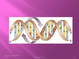 Normal Dna Structure of DNA | PPT