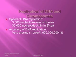 Structure of DNA | PPT