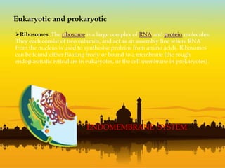 Eukaryotic and prokaryotic
Ribosomes: The ribosome is a large complex of RNA and protein molecules.
They each consist of two subunits, and act as an assembly line where RNA
from the nucleus is used to synthesise proteins from amino acids. Ribosomes
can be found either floating freely or bound to a membrane (the rough
endoplasmatic reticulum in eukaryotes, or the cell membrane in prokaryotes).
ENDOMEMBRANE SYSTEM
 