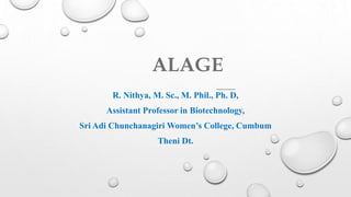 ALAGE
R. Nithya, M. Sc., M. Phil., Ph. D,
Assistant Professor in Biotechnology,
Sri Adi Chunchanagiri Women’s College, Cumbum
Theni Dt.
 