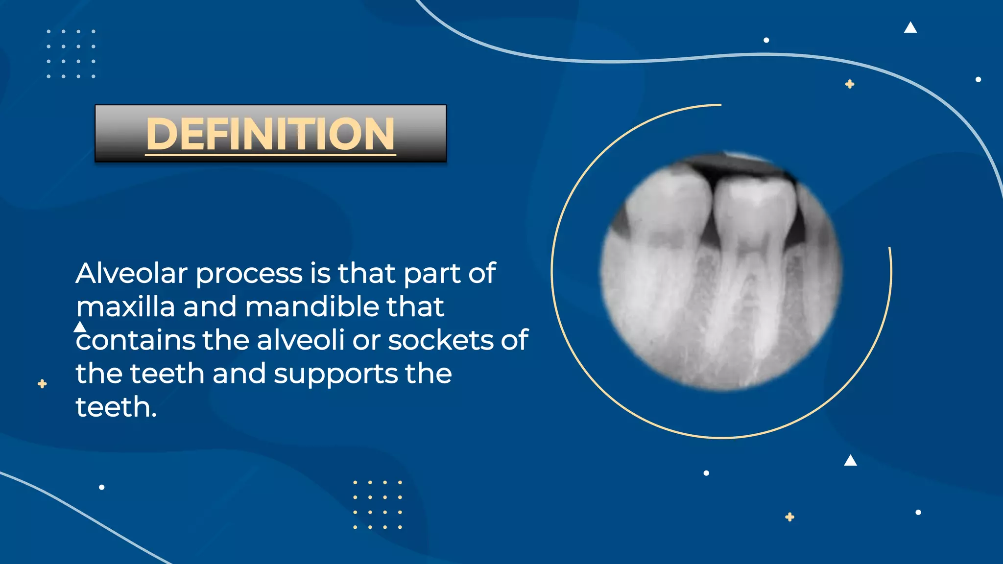 structure of ALVEOLAR bone iqra batool.pptx