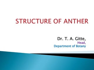 Dr. T. A. Gitte,
Head,
Department of Botany
 