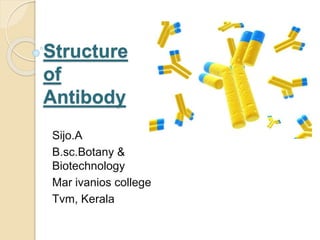 Structure
of
Antibody
Sijo.A
B.sc.Botany &
Biotechnology
Mar ivanios college
Tvm, Kerala
 