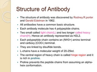 Structure of Antibody
 The structure of antibody was discovered by Rodney.R.porter
and Gerald Edelman in 1962.
 All antibodies have a common basic structure.
 Each antibody molecule has 4 polypeptide chains.
 Two small called light chain(L) and two longer called heavy
chain(H). Hence an antibody represented as H2L2.
 Each polypeptide chain contains an (NH3+) amino terminal
and carboxy (COO-) terminal.
 They are linked by disulfide bonds.
 L-chains have a molecular weight of 20-25kd.
 The central region of heavy chain is called hinge region and it
is rich in proline.
 Proline prevents the peptide chains from assuming an alpha-
heix conformation.
 