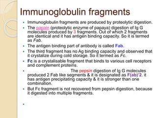 Immunoglobulin fragments
 Immunoglobulin fragments are produced by proteolytic digestion.
 The papain (proteolytic enzyme of papaya) digestion of Ig G
molecules produced by 3 fragments. Out of which 2 fragments
are identical and it has antigen binding capacity. So it is termed
as Fab.
 The antigen binding part of antibody is called Fab.
 The third fragment has no Ag binding capacity and observed that
it crystalize during cold storage. So it termed as Fc.
 Fc is a crystalisable fragment that binds to various cell receptors
and complement proteins.
 The pepsin digestion of Ig G molecules
produced 2 Fab like segments & it is designated as F(ab)’2. it
has antigen precipitating capacity & it is stronger than one
combination.
 But Fc fragment is not recovered from pepsin digestion, because
it digested into multiple fragments.

 