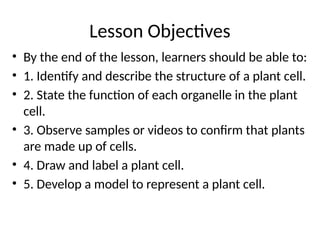 Comprehensive Science Lesson on Plant Cell Structure and Functions | PPTX