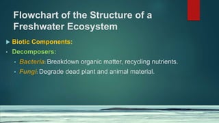 Flowchart of the Structure of a
Freshwater Ecosystem
 Biotic Components:
• Decomposers:
• Bacteria: Breakdown organic matter, recycling nutrients.
• Fungi: Degrade dead plant and animal material.
 