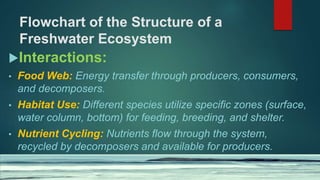 Flowchart of the Structure of a
Freshwater Ecosystem
Interactions:
• Food Web: Energy transfer through producers, consumers,
and decomposers.
• Habitat Use: Different species utilize specific zones (surface,
water column, bottom) for feeding, breeding, and shelter.
• Nutrient Cycling: Nutrients flow through the system,
recycled by decomposers and available for producers.
 