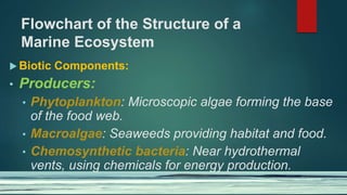 Flowchart of the Structure of a
Marine Ecosystem
 Biotic Components:
• Producers:
• Phytoplankton: Microscopic algae forming the base
of the food web.
• Macroalgae: Seaweeds providing habitat and food.
• Chemosynthetic bacteria: Near hydrothermal
vents, using chemicals for energy production.
 