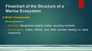Flowchart of the Structure of a
Marine Ecosystem
 Biotic Components:
• Decomposers:
• Bacteria: Breakdown organic matter, recycling nutrients.
• Scavengers: Crabs, shrimp, and other animals feeding on dead
organisms.
 