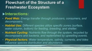 Flowchart of the Structure of a
Freshwater Ecosystem
Interactions:
• Food Web: Energy transfer through producers, consumers, and
decomposers.
• Habitat Use: Different species utilize specific zones (surface,
water column, bottom) for feeding, breeding, and shelter.
• Nutrient Cycling: Nutrients flow through the system, recycled by
decomposers and bacteria, and replenished by upwelling events.
• Physical factors: Water temperature, salinity, currents, and tides
influence species distribution and abundance.
 