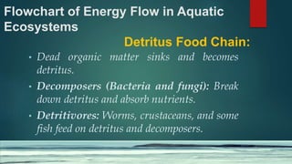 Flowchart of Energy Flow in Aquatic
Ecosystems
Detritus Food Chain:
• Dead organic matter sinks and becomes
detritus.
• Decomposers (Bacteria and fungi): Break
down detritus and absorb nutrients.
• Detritivores: Worms, crustaceans, and some
fish feed on detritus and decomposers.
 