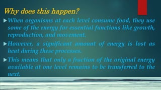 Why does this happen?
When organisms at each level consume food, they use
some of the energy for essential functions like growth,
reproduction, and movement.
However, a significant amount of energy is lost as
heat during these processes.
This means that only a fraction of the original energy
available at one level remains to be transferred to the
next.
 