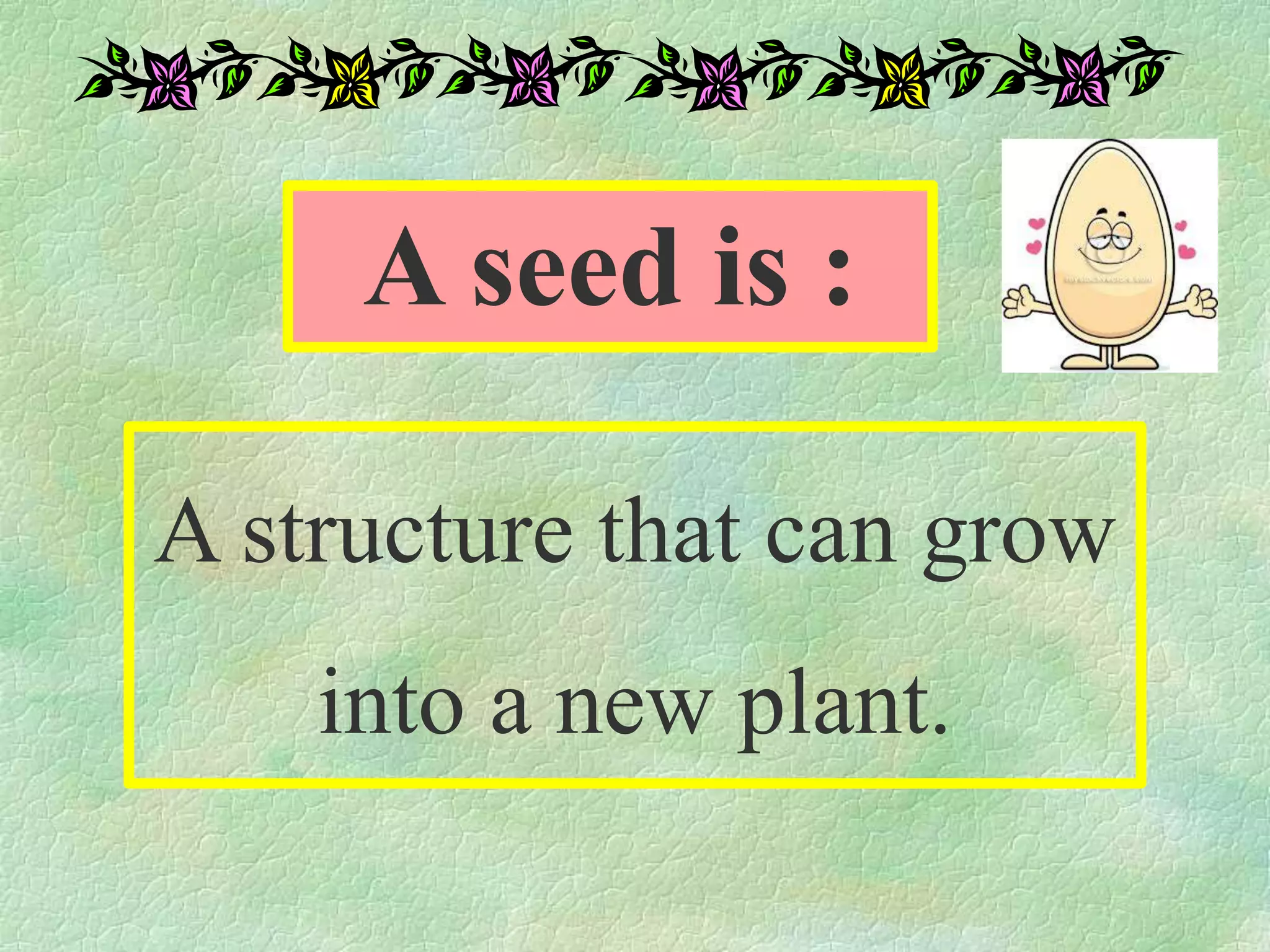 A seed is :
A structure that can grow
into a new plant.