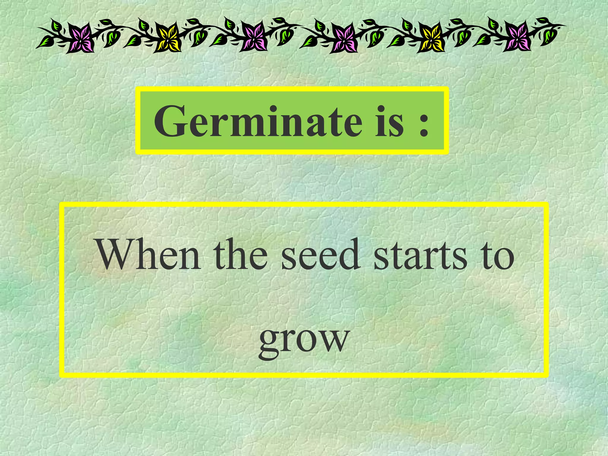 Germinate is :
When the seed starts to
grow