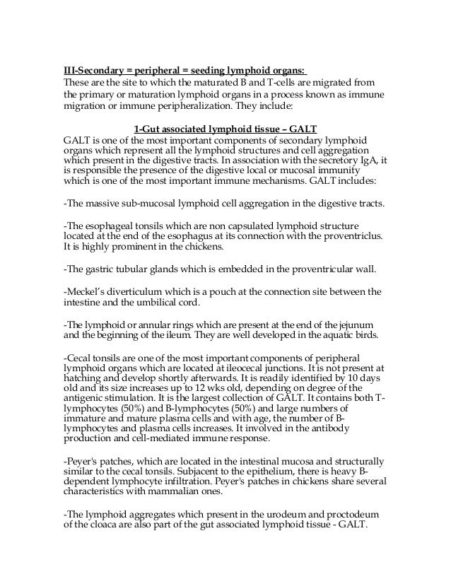 Structure of avian immune system Dr Fares El-Khayat