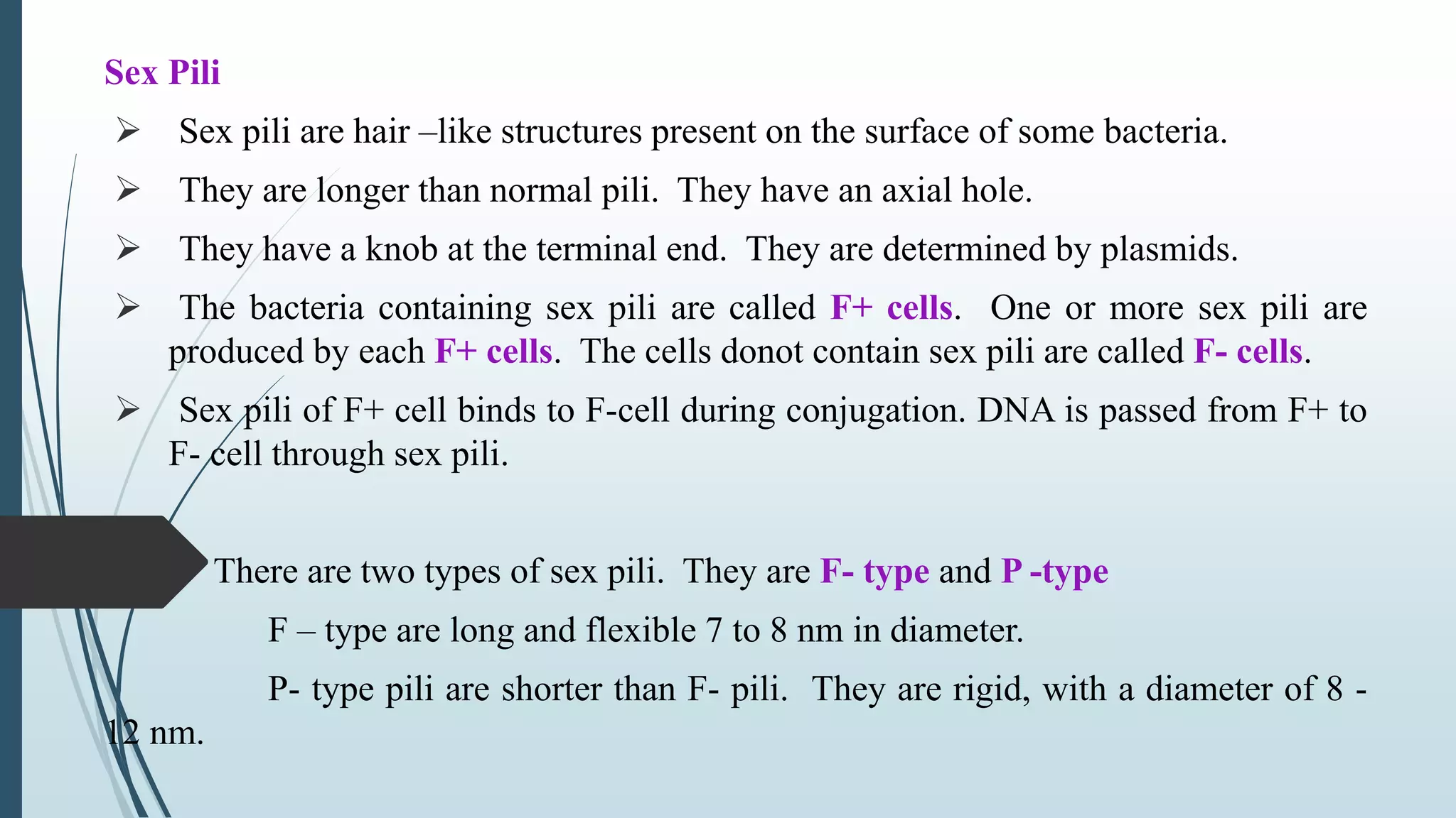 Structure of bacteria | PPTX