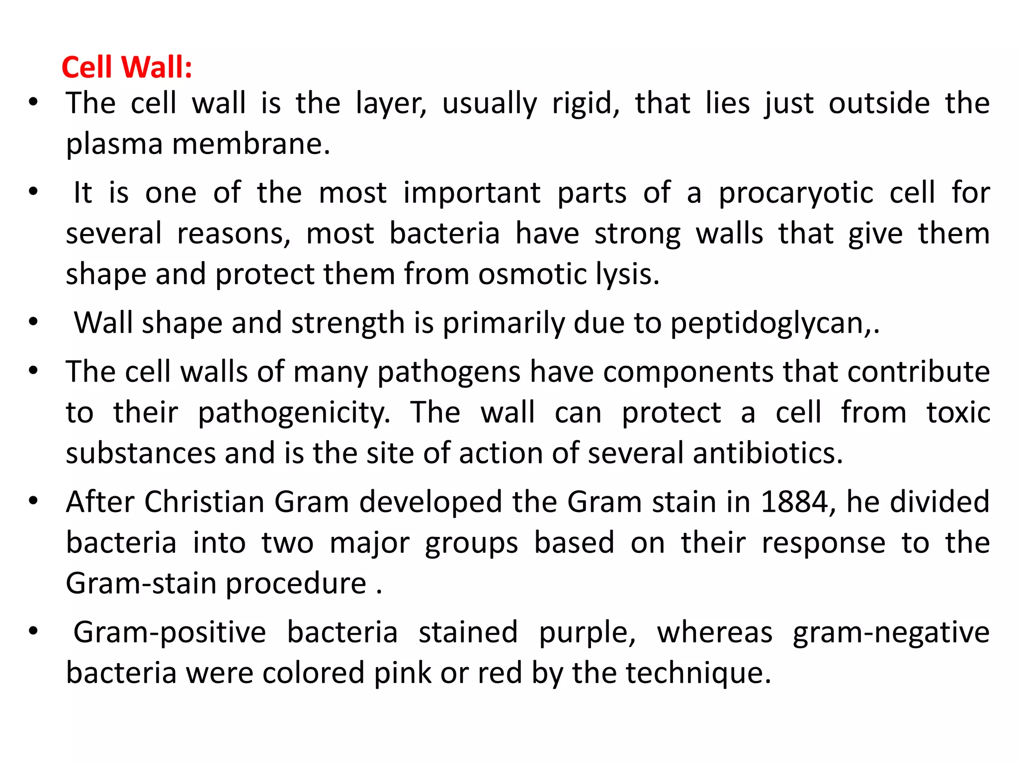 Cell Wall:
• The cell wall is the layer, usually rigid, that lies just outside the
plasma membrane.
• It is one of the most important parts of a procaryotic cell for
several reasons, most bacteria have strong walls that give them
shape and protect them from osmotic lysis.
• Wall shape and strength is primarily due to peptidoglycan,.
• The cell walls of many pathogens have components that contribute
to their pathogenicity. The wall can protect a cell from toxic
substances and is the site of action of several antibiotics.
• After Christian Gram developed the Gram stain in 1884, he divided
bacteria into two major groups based on their response to the
Gram-stain procedure .
• Gram-positive bacteria stained purple, whereas gram-negative
bacteria were colored pink or red by the technique.
 