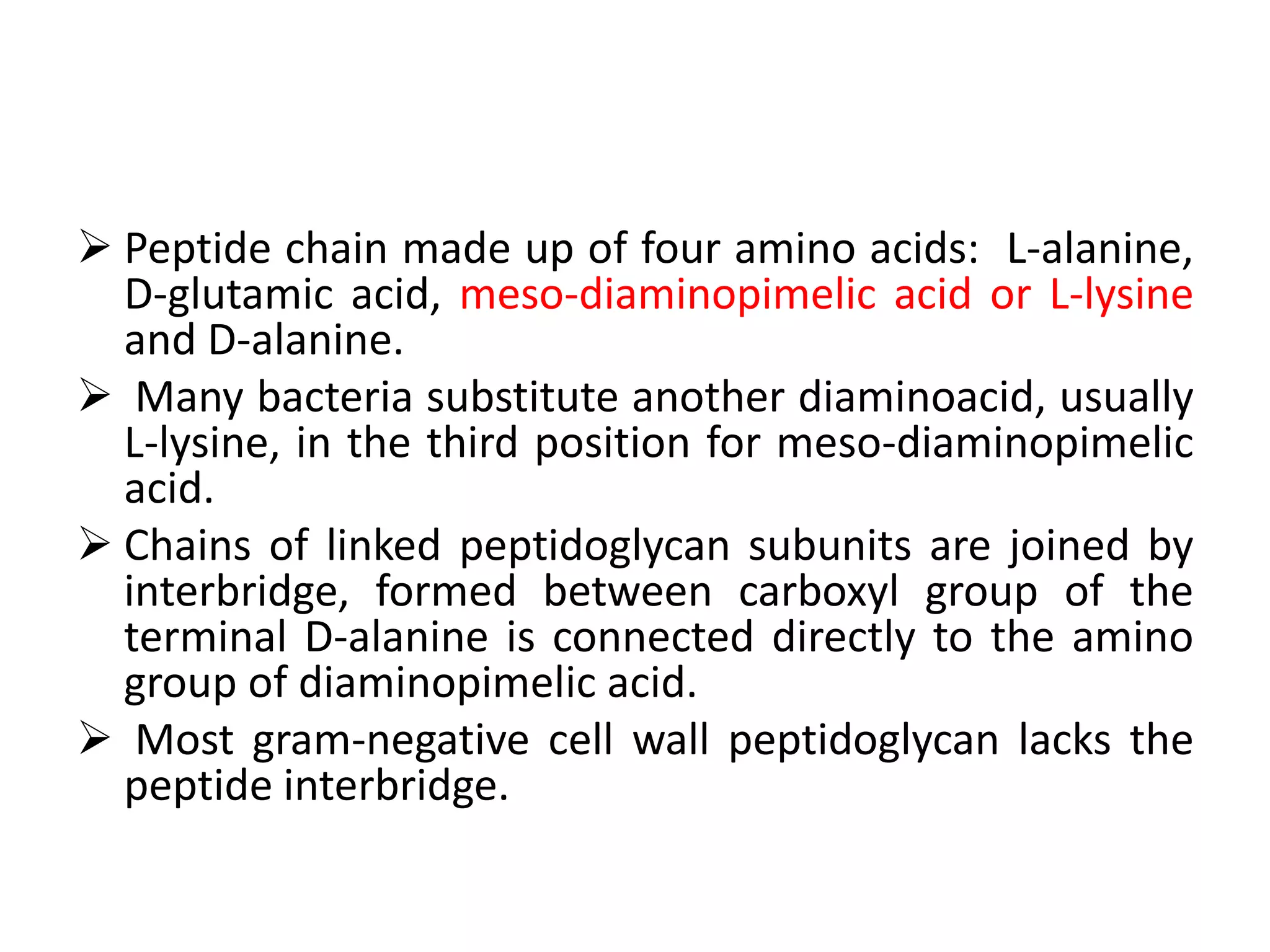  Peptide chain made up of four amino acids: L-alanine,
D-glutamic acid, meso-diaminopimelic acid or L-lysine
and D-alanine.
 Many bacteria substitute another diaminoacid, usually
L-lysine, in the third position for meso-diaminopimelic
acid.
 Chains of linked peptidoglycan subunits are joined by
interbridge, formed between carboxyl group of the
terminal D-alanine is connected directly to the amino
group of diaminopimelic acid.
 Most gram-negative cell wall peptidoglycan lacks the
peptide interbridge.
 