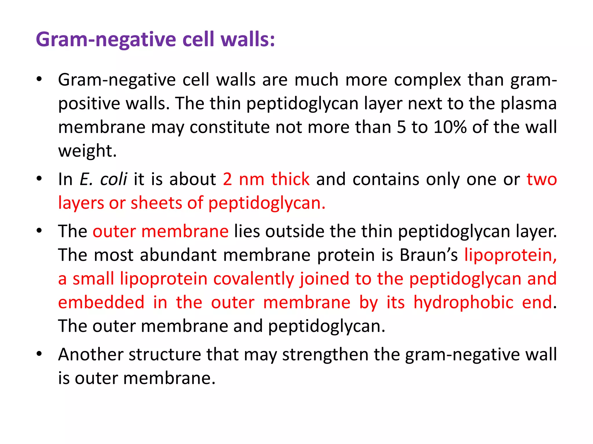 Gram-negative cell walls:
• Gram-negative cell walls are much more complex than gram-
positive walls. The thin peptidoglycan layer next to the plasma
membrane may constitute not more than 5 to 10% of the wall
weight.
• In E. coli it is about 2 nm thick and contains only one or two
layers or sheets of peptidoglycan.
• The outer membrane lies outside the thin peptidoglycan layer.
The most abundant membrane protein is Braun’s lipoprotein,
a small lipoprotein covalently joined to the peptidoglycan and
embedded in the outer membrane by its hydrophobic end.
The outer membrane and peptidoglycan.
• Another structure that may strengthen the gram-negative wall
is outer membrane.
 