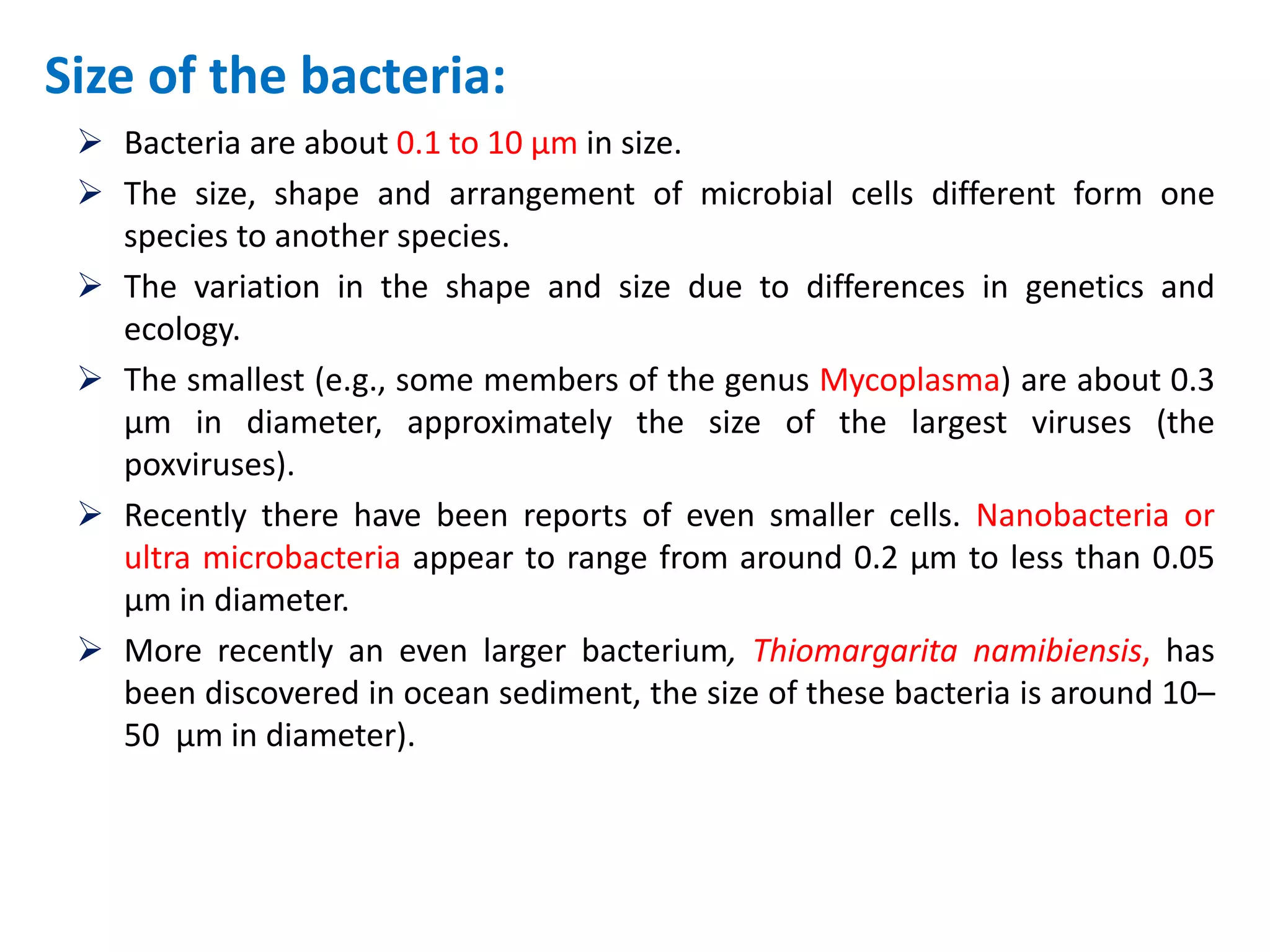 Size of the bacteria:
 Bacteria are about 0.1 to 10 μm in size.
 The size, shape and arrangement of microbial cells different form one
species to another species.
 The variation in the shape and size due to differences in genetics and
ecology.
 The smallest (e.g., some members of the genus Mycoplasma) are about 0.3
μm in diameter, approximately the size of the largest viruses (the
poxviruses).
 Recently there have been reports of even smaller cells. Nanobacteria or
ultra microbacteria appear to range from around 0.2 μm to less than 0.05
μm in diameter.
 More recently an even larger bacterium, Thiomargarita namibiensis, has
been discovered in ocean sediment, the size of these bacteria is around 10–
50 μm in diameter).
 