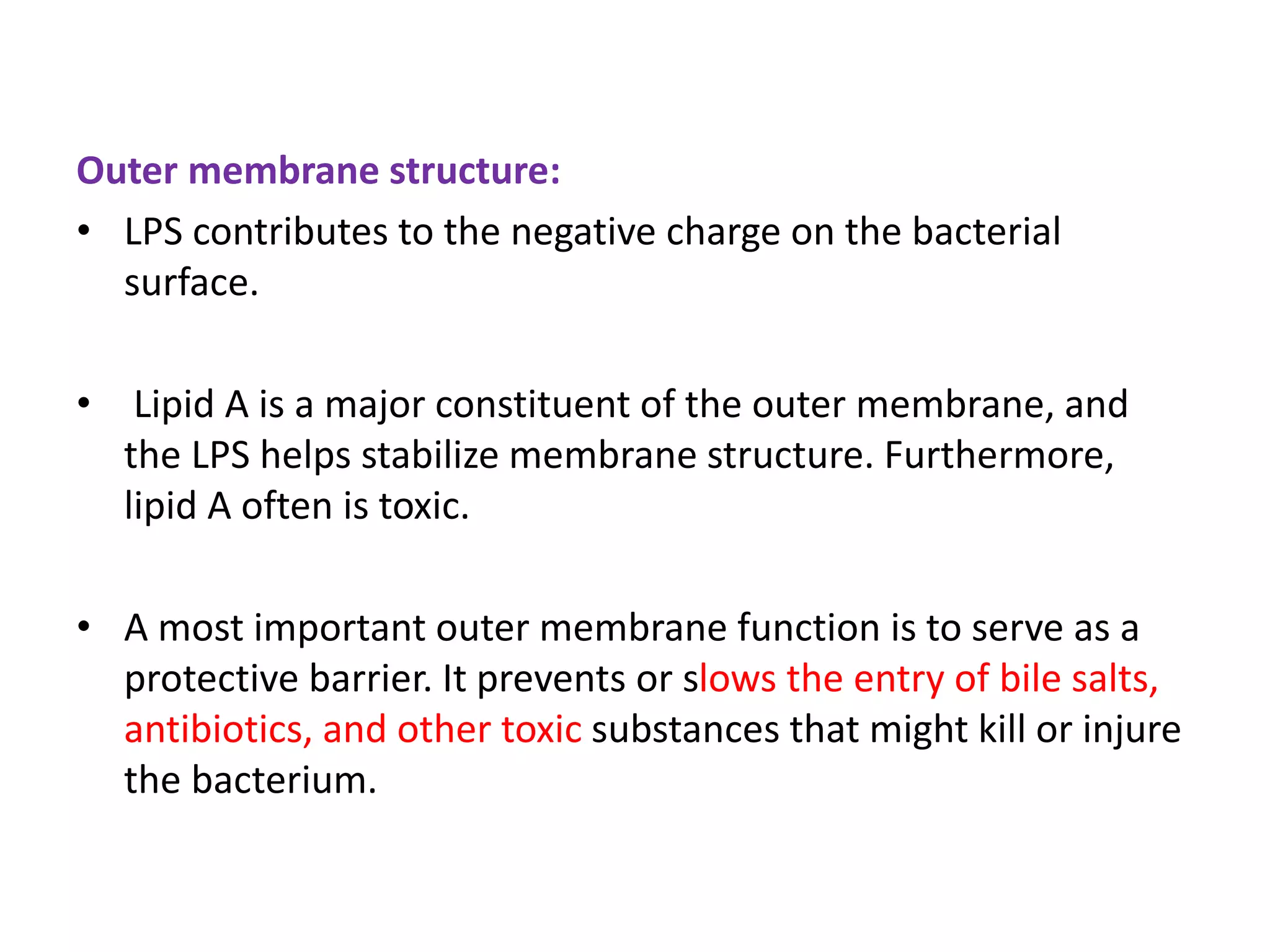 Outer membrane structure:
• LPS contributes to the negative charge on the bacterial
surface.
• Lipid A is a major constituent of the outer membrane, and
the LPS helps stabilize membrane structure. Furthermore,
lipid A often is toxic.
• A most important outer membrane function is to serve as a
protective barrier. It prevents or slows the entry of bile salts,
antibiotics, and other toxic substances that might kill or injure
the bacterium.
 