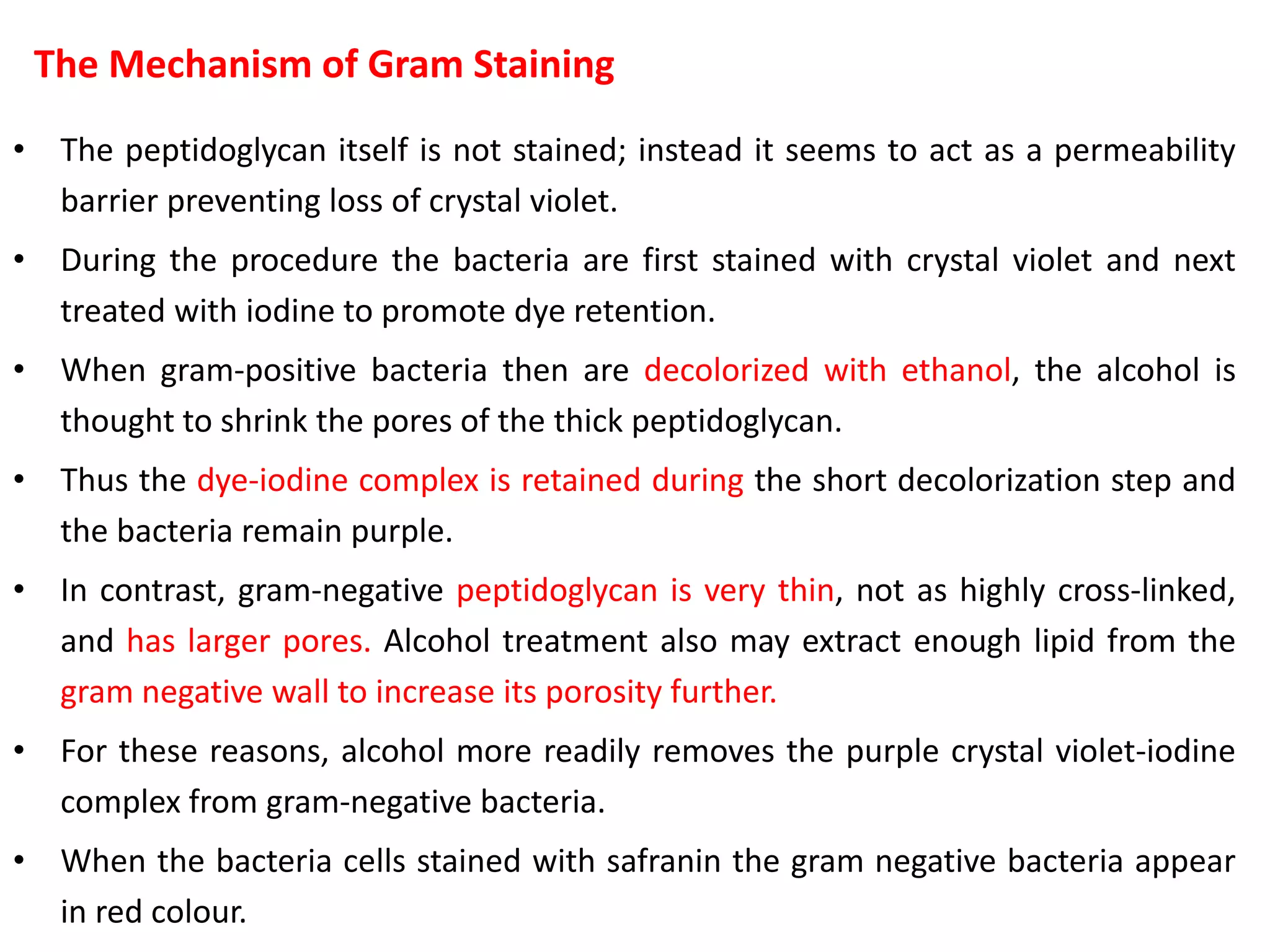 The Mechanism of Gram Staining
• The peptidoglycan itself is not stained; instead it seems to act as a permeability
barrier preventing loss of crystal violet.
• During the procedure the bacteria are first stained with crystal violet and next
treated with iodine to promote dye retention.
• When gram-positive bacteria then are decolorized with ethanol, the alcohol is
thought to shrink the pores of the thick peptidoglycan.
• Thus the dye-iodine complex is retained during the short decolorization step and
the bacteria remain purple.
• In contrast, gram-negative peptidoglycan is very thin, not as highly cross-linked,
and has larger pores. Alcohol treatment also may extract enough lipid from the
gram negative wall to increase its porosity further.
• For these reasons, alcohol more readily removes the purple crystal violet-iodine
complex from gram-negative bacteria.
• When the bacteria cells stained with safranin the gram negative bacteria appear
in red colour.
 