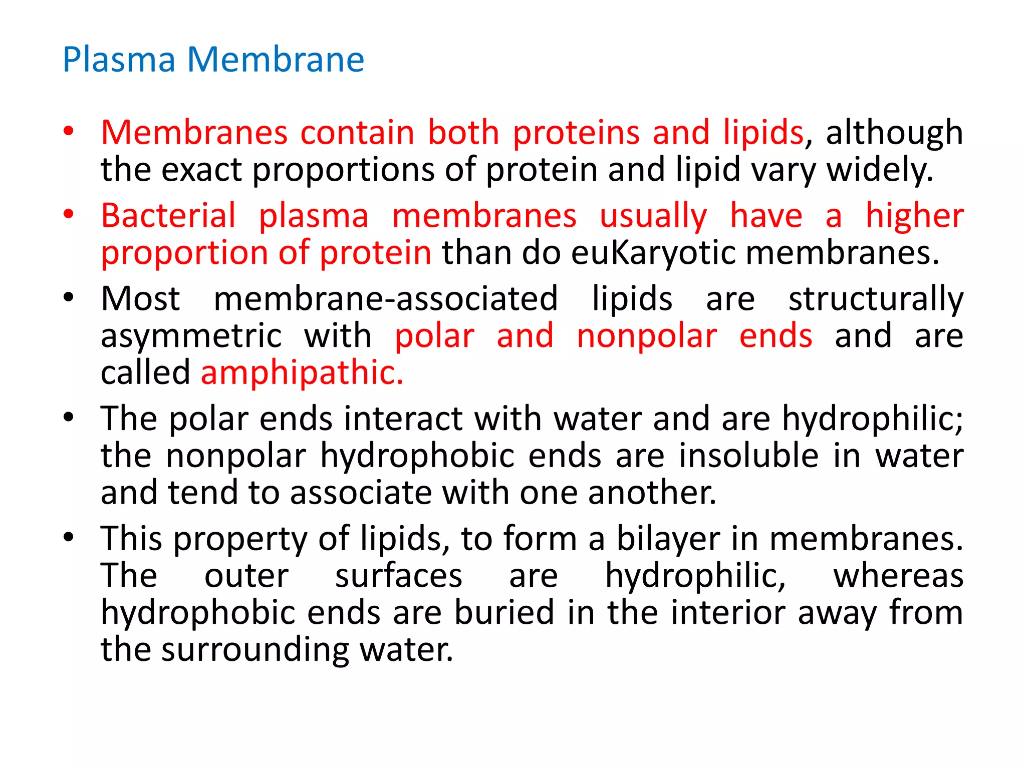 Plasma Membrane
• Membranes contain both proteins and lipids, although
the exact proportions of protein and lipid vary widely.
• Bacterial plasma membranes usually have a higher
proportion of protein than do euKaryotic membranes.
• Most membrane-associated lipids are structurally
asymmetric with polar and nonpolar ends and are
called amphipathic.
• The polar ends interact with water and are hydrophilic;
the nonpolar hydrophobic ends are insoluble in water
and tend to associate with one another.
• This property of lipids, to form a bilayer in membranes.
The outer surfaces are hydrophilic, whereas
hydrophobic ends are buried in the interior away from
the surrounding water.
 