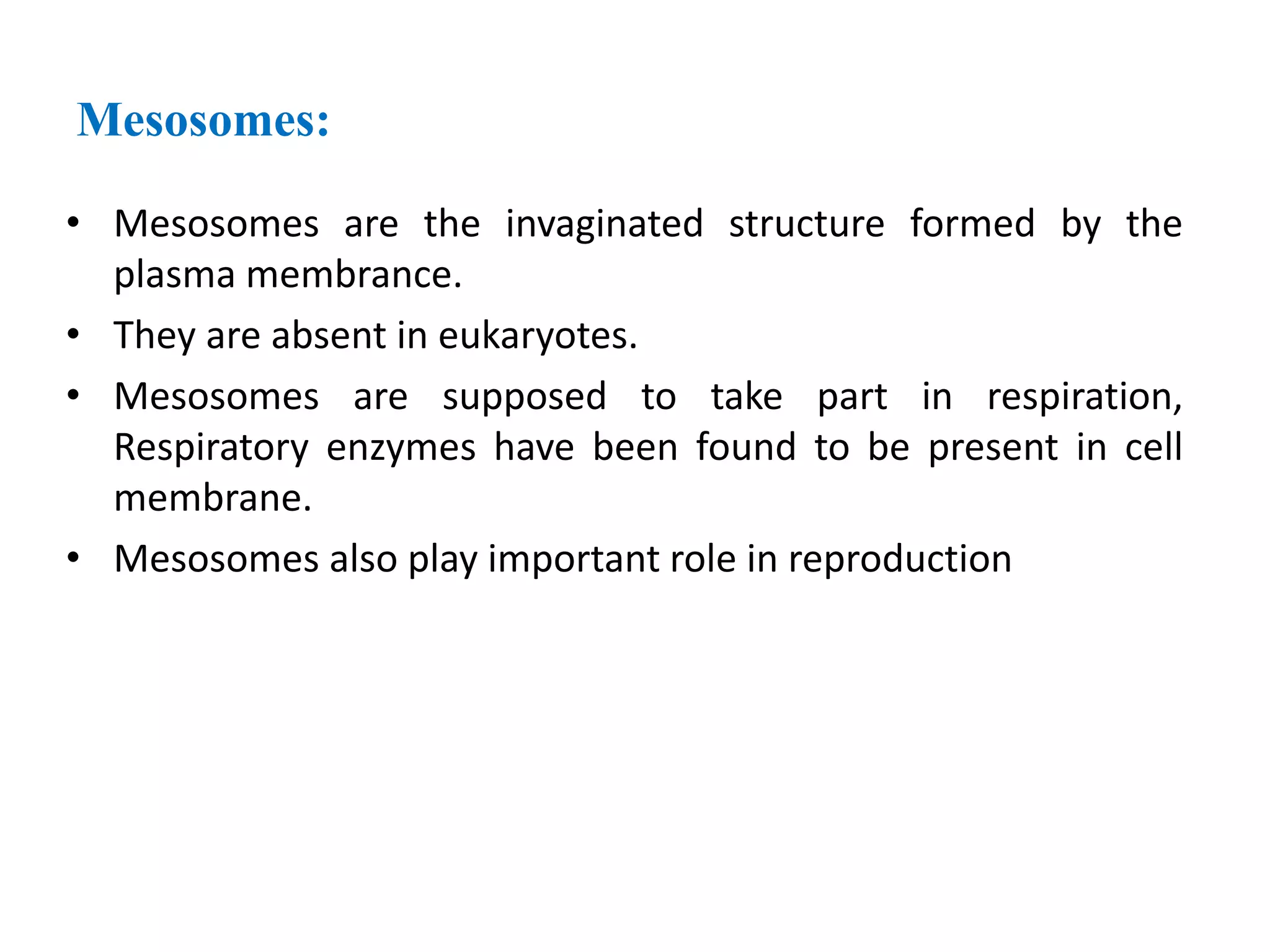 Mesosomes:
• Mesosomes are the invaginated structure formed by the
plasma membrance.
• They are absent in eukaryotes.
• Mesosomes are supposed to take part in respiration,
Respiratory enzymes have been found to be present in cell
membrane.
• Mesosomes also play important role in reproduction
 