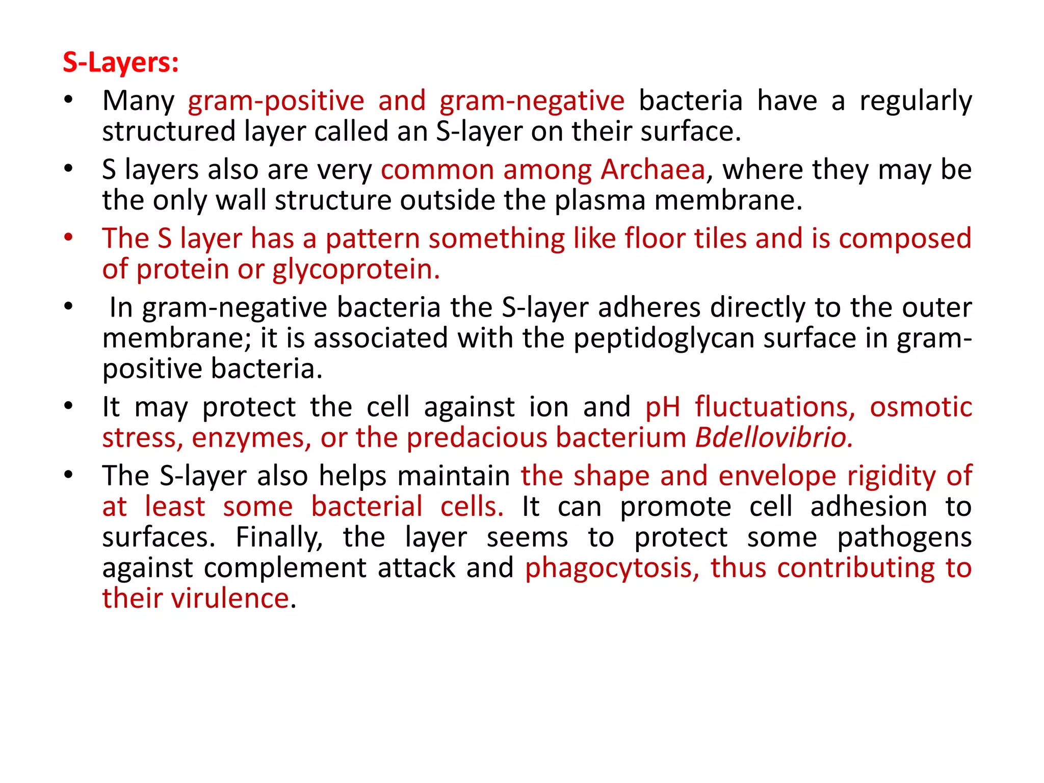 S-Layers:
• Many gram-positive and gram-negative bacteria have a regularly
structured layer called an S-layer on their surface.
• S layers also are very common among Archaea, where they may be
the only wall structure outside the plasma membrane.
• The S layer has a pattern something like floor tiles and is composed
of protein or glycoprotein.
• In gram-negative bacteria the S-layer adheres directly to the outer
membrane; it is associated with the peptidoglycan surface in gram-
positive bacteria.
• It may protect the cell against ion and pH fluctuations, osmotic
stress, enzymes, or the predacious bacterium Bdellovibrio.
• The S-layer also helps maintain the shape and envelope rigidity of
at least some bacterial cells. It can promote cell adhesion to
surfaces. Finally, the layer seems to protect some pathogens
against complement attack and phagocytosis, thus contributing to
their virulence.
 