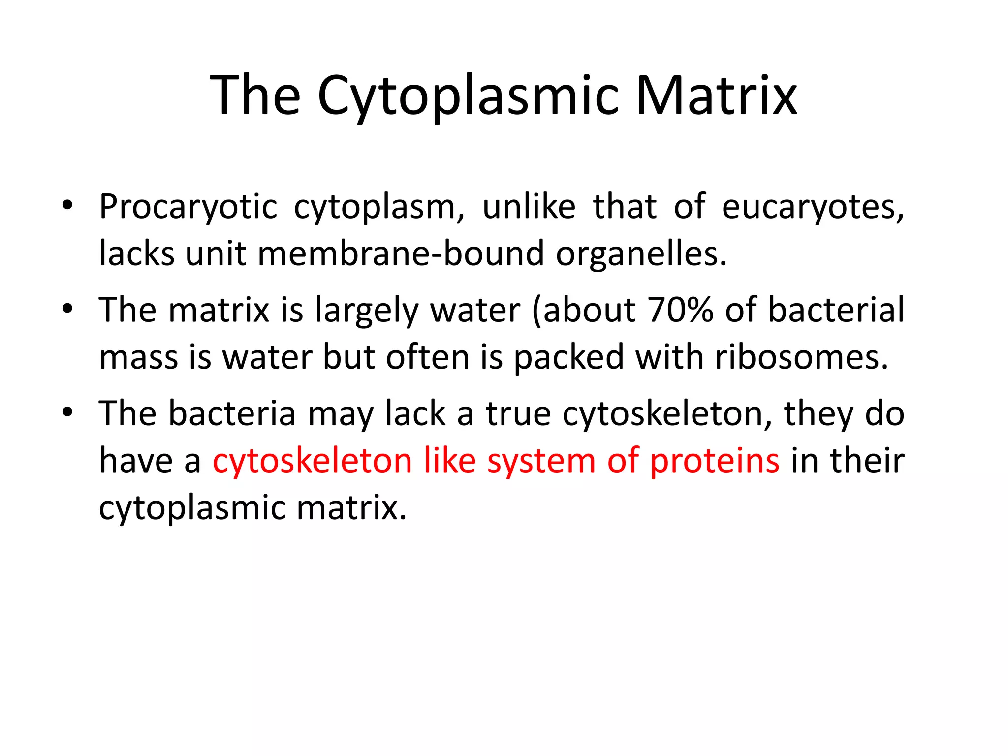 The Cytoplasmic Matrix
• Procaryotic cytoplasm, unlike that of eucaryotes,
lacks unit membrane-bound organelles.
• The matrix is largely water (about 70% of bacterial
mass is water but often is packed with ribosomes.
• The bacteria may lack a true cytoskeleton, they do
have a cytoskeleton like system of proteins in their
cytoplasmic matrix.
 