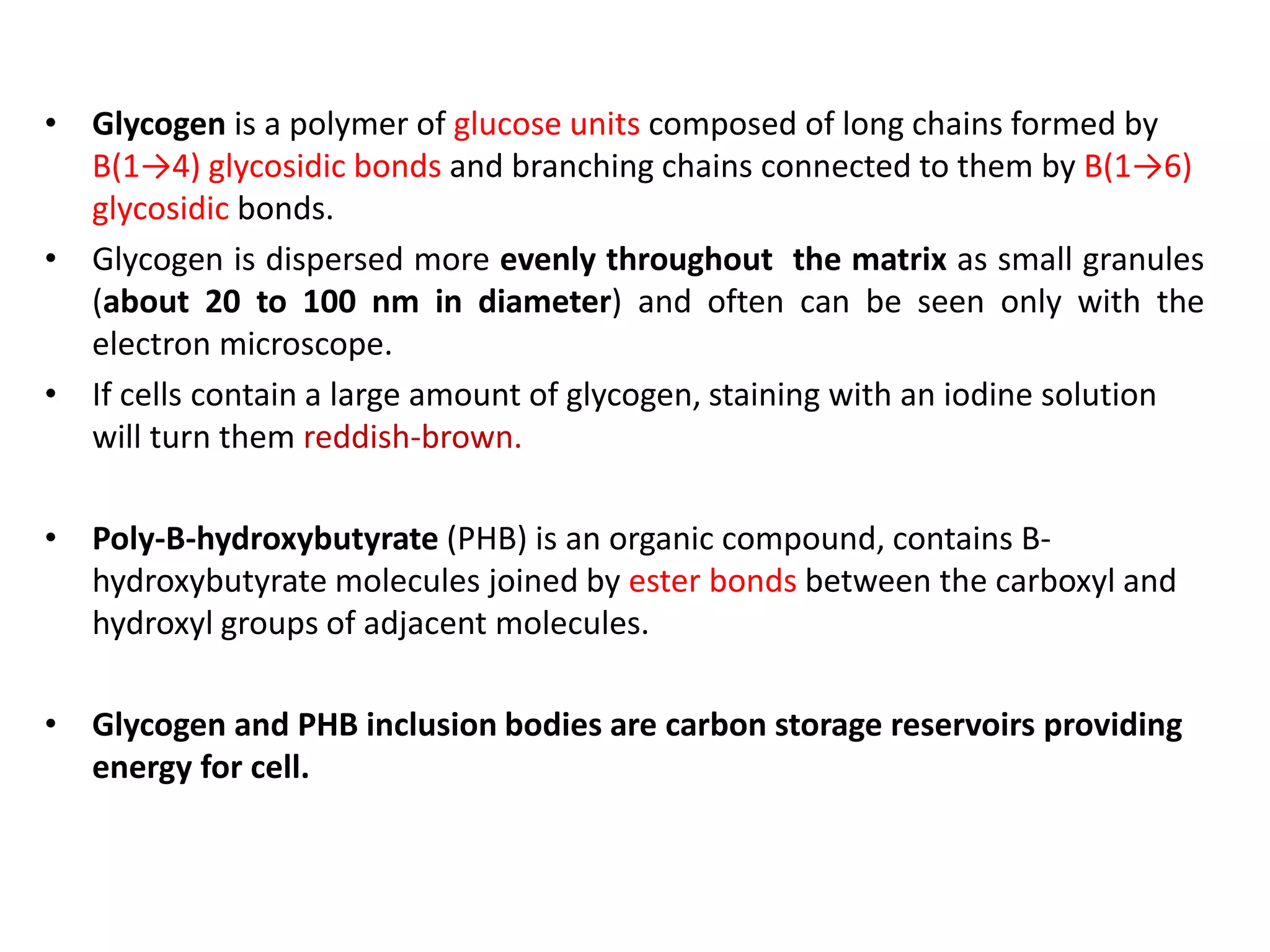 • Glycogen is a polymer of glucose units composed of long chains formed by
B(1→4) glycosidic bonds and branching chains connected to them by B(1→6)
glycosidic bonds.
• Glycogen is dispersed more evenly throughout the matrix as small granules
(about 20 to 100 nm in diameter) and often can be seen only with the
electron microscope.
• If cells contain a large amount of glycogen, staining with an iodine solution
will turn them reddish-brown.
• Poly-B-hydroxybutyrate (PHB) is an organic compound, contains B-
hydroxybutyrate molecules joined by ester bonds between the carboxyl and
hydroxyl groups of adjacent molecules.
• Glycogen and PHB inclusion bodies are carbon storage reservoirs providing
energy for cell.
 