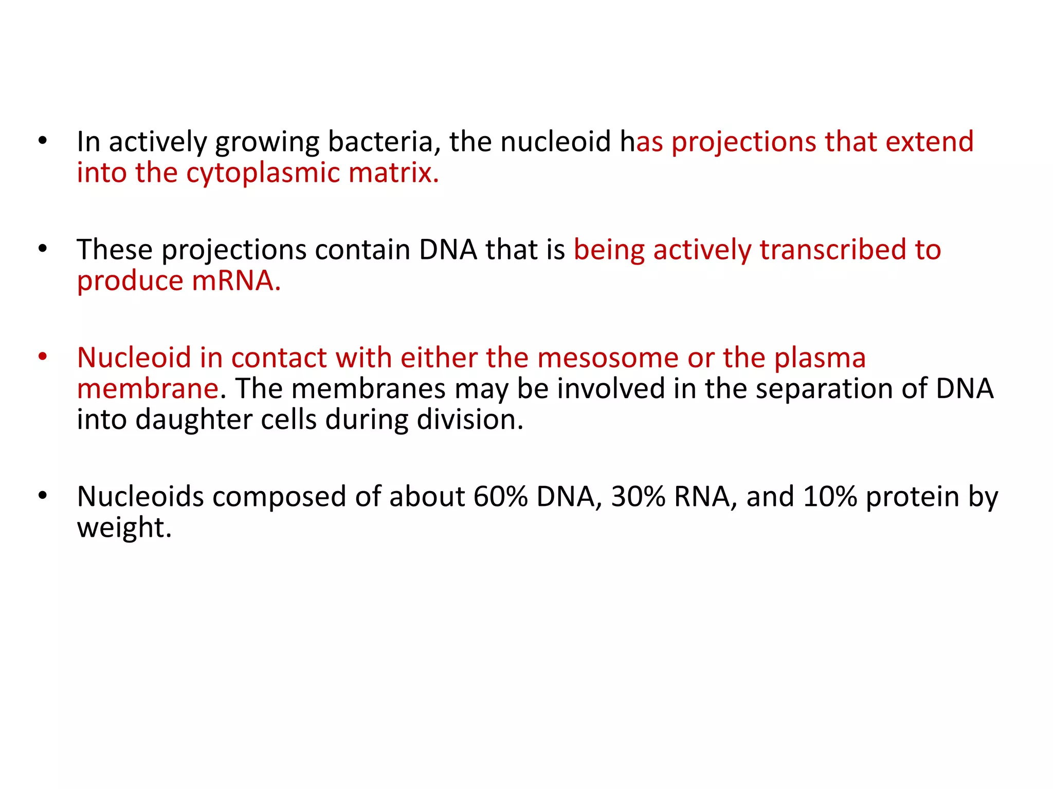 • In actively growing bacteria, the nucleoid has projections that extend
into the cytoplasmic matrix.
• These projections contain DNA that is being actively transcribed to
produce mRNA.
• Nucleoid in contact with either the mesosome or the plasma
membrane. The membranes may be involved in the separation of DNA
into daughter cells during division.
• Nucleoids composed of about 60% DNA, 30% RNA, and 10% protein by
weight.
 
