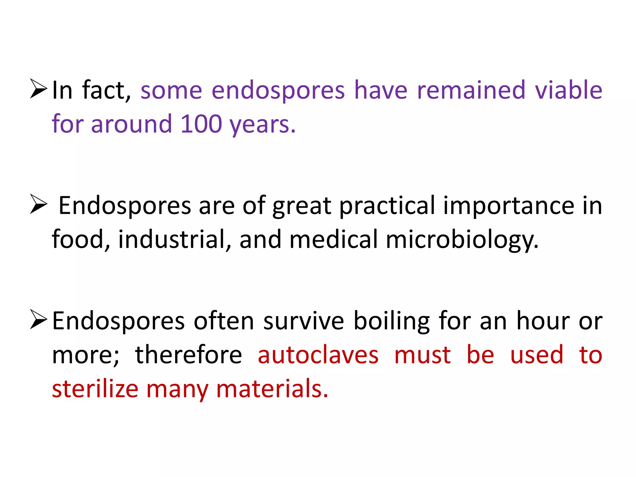 In fact, some endospores have remained viable
for around 100 years.
 Endospores are of great practical importance in
food, industrial, and medical microbiology.
Endospores often survive boiling for an hour or
more; therefore autoclaves must be used to
sterilize many materials.
 
