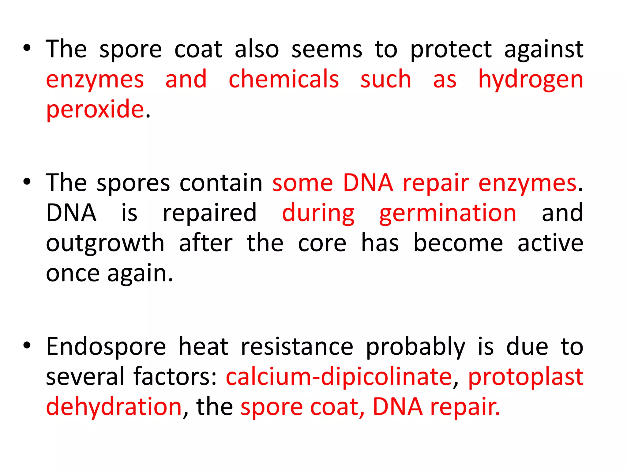 • The spore coat also seems to protect against
enzymes and chemicals such as hydrogen
peroxide.
• The spores contain some DNA repair enzymes.
DNA is repaired during germination and
outgrowth after the core has become active
once again.
• Endospore heat resistance probably is due to
several factors: calcium-dipicolinate, protoplast
dehydration, the spore coat, DNA repair.
 
