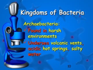 10
Kingdoms of BacteriaKingdoms of Bacteria
Archaebacteria:Archaebacteria:
 Found inFound in harshharsh
environmentsenvironments
 UnderseaUndersea volcanic ventsvolcanic vents,,
acidicacidic hot springshot springs,, saltysalty
waterwater
 