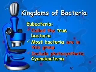 12
Kingdoms of BacteriaKingdoms of Bacteria
Eubacteria:Eubacteria:
 Called theCalled the truetrue
bacteriabacteria
 Most bacteriaMost bacteria are inare in
this groupthis group
 Include photosyntheticInclude photosynthetic
CyanobacteriaCyanobacteria
 