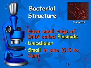 19
BacterialBacterial
StructureStructure
• Have small rings ofHave small rings of
DNA calledDNA called PlasmidsPlasmids
• UnicellularUnicellular
• SmallSmall in size (0.5 toin size (0.5 to
2μm)2μm)
PLASMIDSPLASMIDS
 
