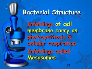 21
Bacterial StructureBacterial Structure
• InfoldingsInfoldings of cellof cell
membrane carry onmembrane carry on
photosynthesis &photosynthesis &
cellular respirationcellular respiration
• Infoldings calledInfoldings called
MesosomesMesosomes
 