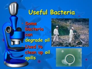 25
Useful BacteriaUseful Bacteria
• SomeSome
bacteriabacteria
cancan
degrade oildegrade oil
• Used toUsed to
clean upclean up oiloil
spillsspills
 