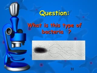 31
Question:Question:
What is this type ofWhat is this type of
bacteria ?bacteria ?
 