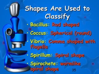 35
Shapes Are Used toShapes Are Used to
ClassifyClassify
• Bacillus:Bacillus: Rod shapedRod shaped
• Coccus:Coccus: Spherical (round)Spherical (round)
• Vibrio:Vibrio: Comma shaped withComma shaped with
flagellaflagella
• Spirillum:Spirillum: Spiral shapeSpiral shape
• Spirochete:Spirochete: wormlikewormlike
spiral shapespiral shape
 