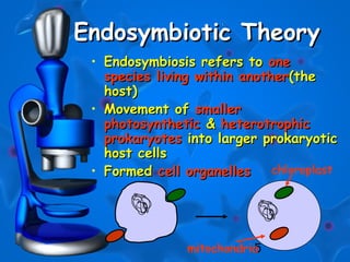 5
Endosymbiotic TheoryEndosymbiotic Theory
• Endosymbiosis refers toEndosymbiosis refers to oneone
species living within anotherspecies living within another(the(the
host)host)
• Movement ofMovement of smallersmaller
photosyntheticphotosynthetic && heterotrophicheterotrophic
prokaryotesprokaryotes into larger prokaryoticinto larger prokaryotic
host cellshost cells
• FormedFormed cell organellescell organelles chloroplast
mitochondria
 